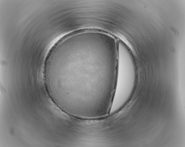 X0000091191068200708091245