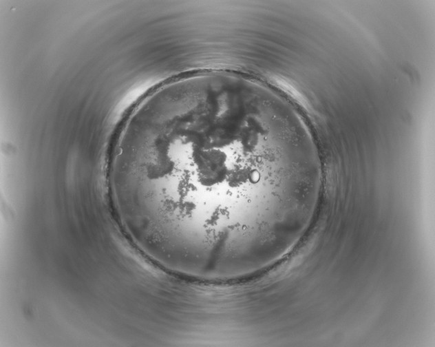 X0000091191071200708091245