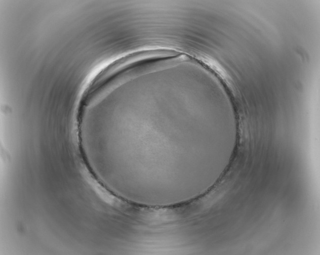 X0000091191072200708091245