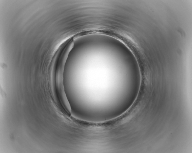 X0000091191073200708091245