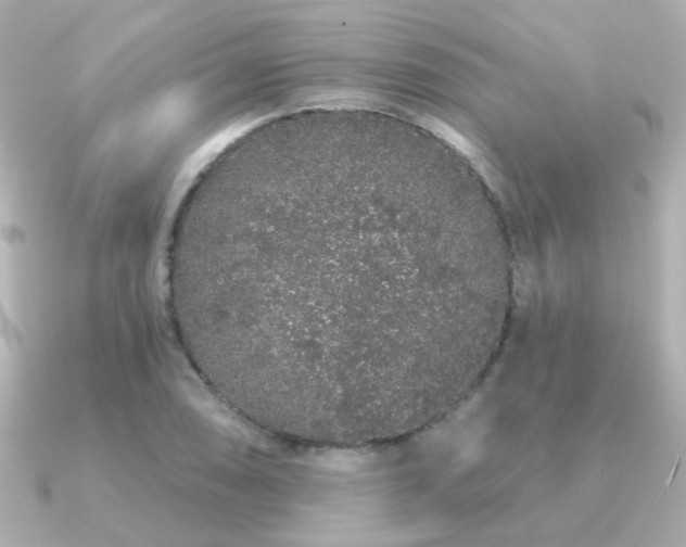 X0000091191074200708091245