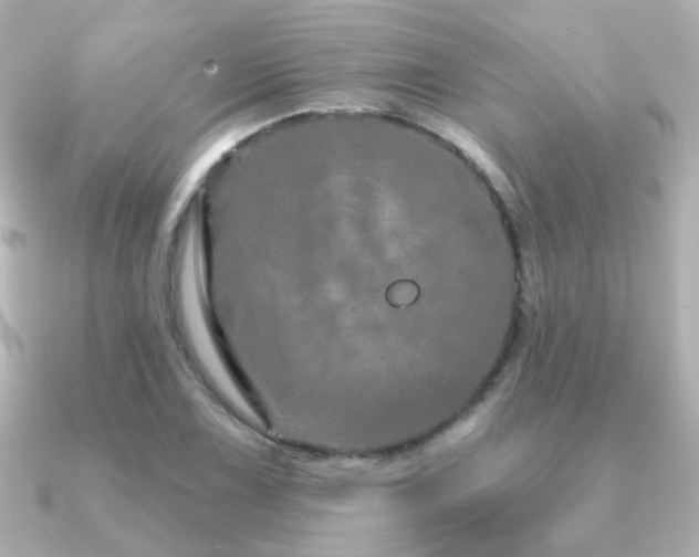 X0000091191075200708091245