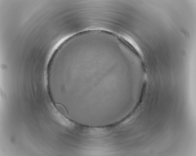 X0000091191076200708091245