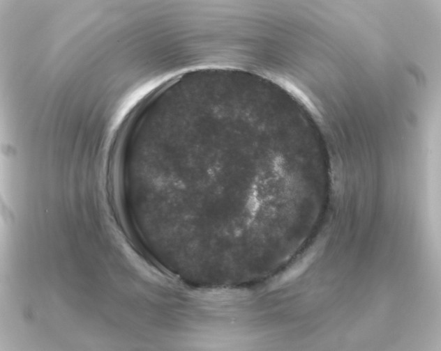 X0000091191077200708091245