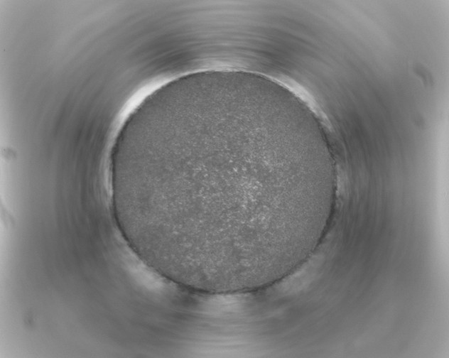 X0000091191078200708091245
