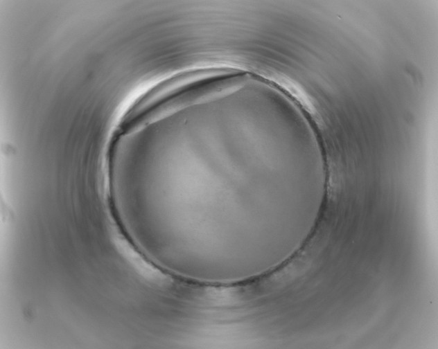 X0000091191080200708091245