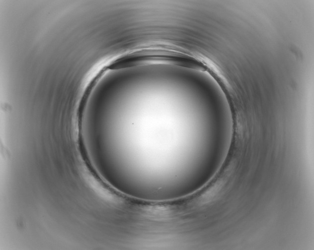 X0000091191082200708091245
