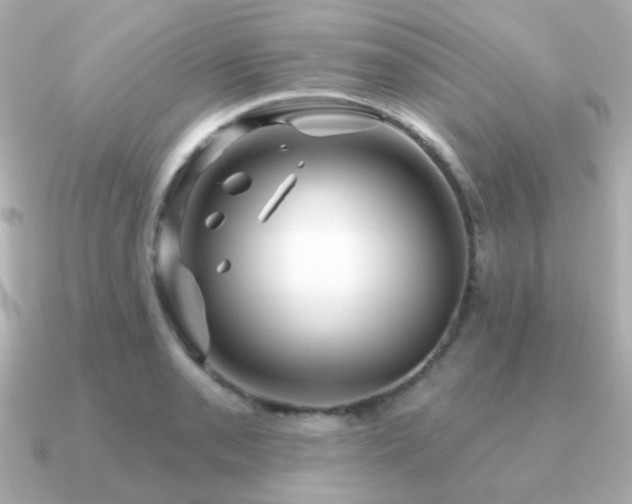 X0000091191085200708091245