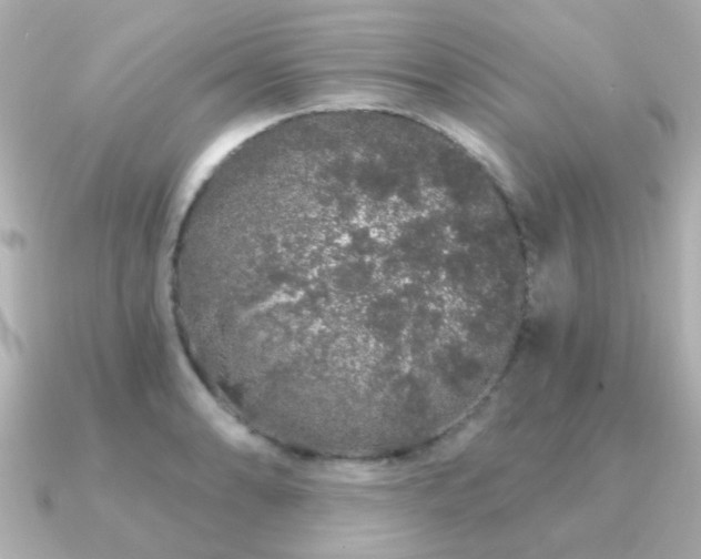 X0000091191086200708091245