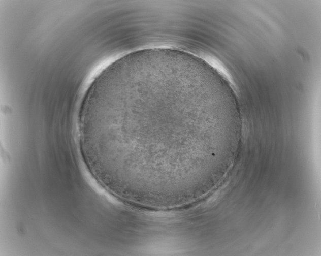 X0000091191088200708091245