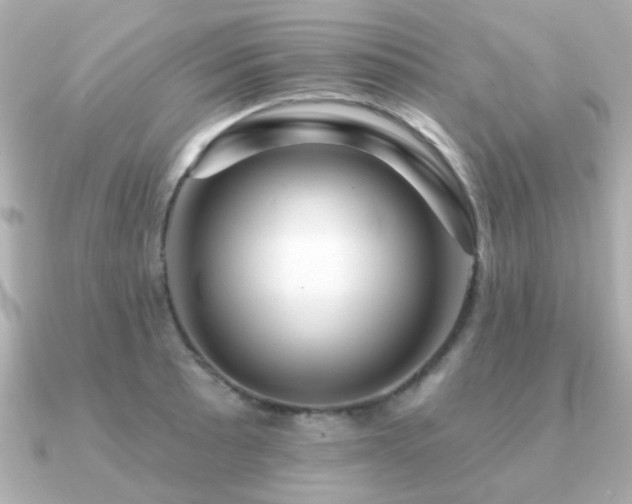 X0000091191089200708091245