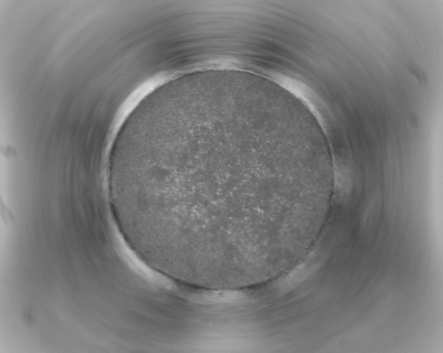 X0000091191090200708091245