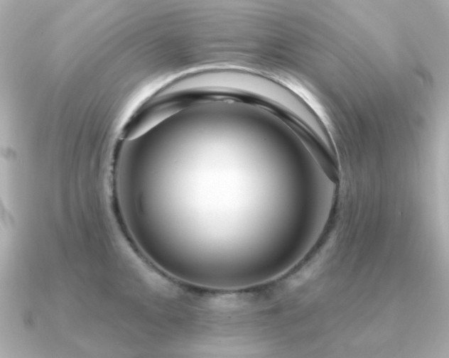 X0000091191093200708091245