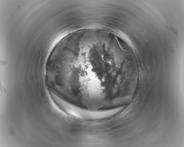 X0000091191095200708091245