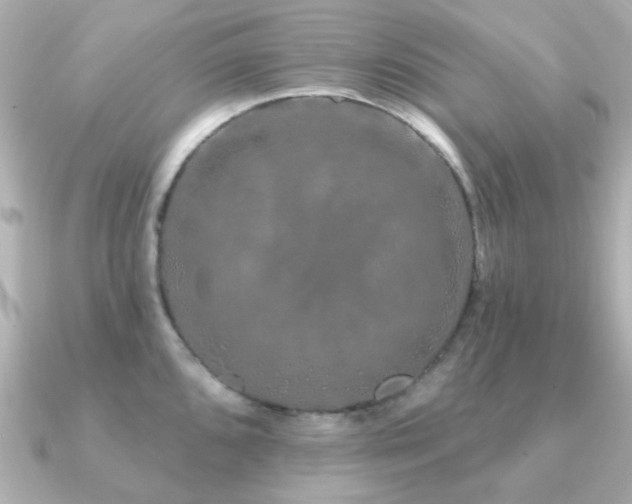 X0000091191096200708091245