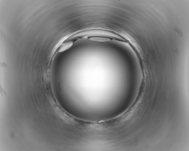 X0000091191097200708091245