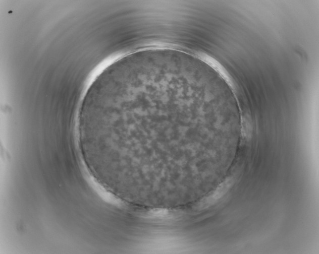 X0000091191098200708091245