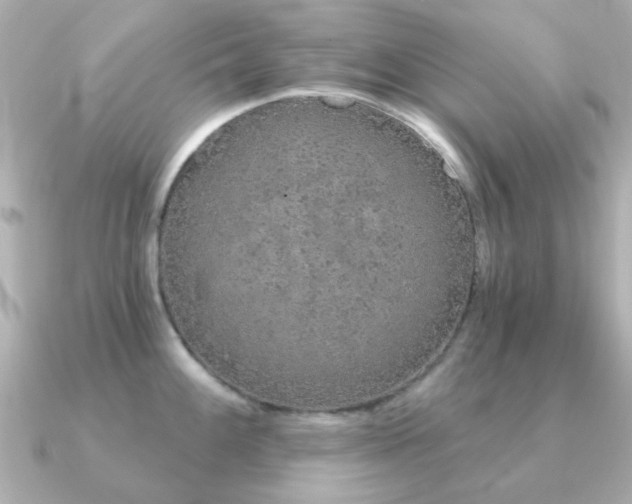 X0000091191100200708091245