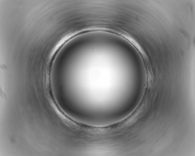 X0000091191101200708091245