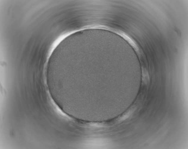 X0000091191102200708091245