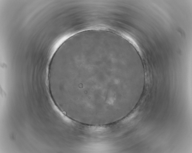 X0000091191103200708091245