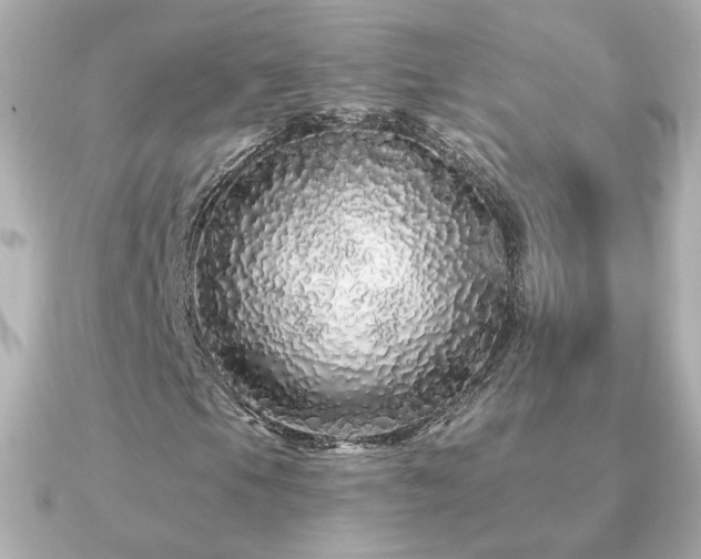 X0000091191105200708091244