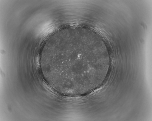 X0000091191106200708091244