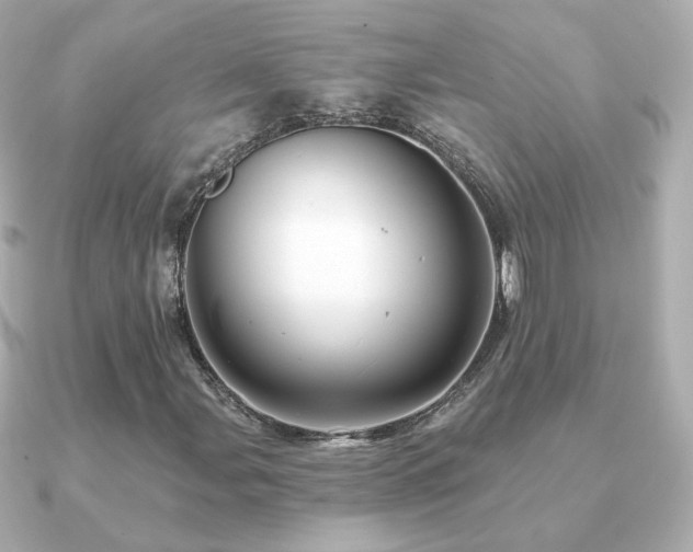 X0000091191107200708091244