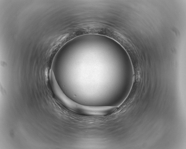 X0000091191108200708091244