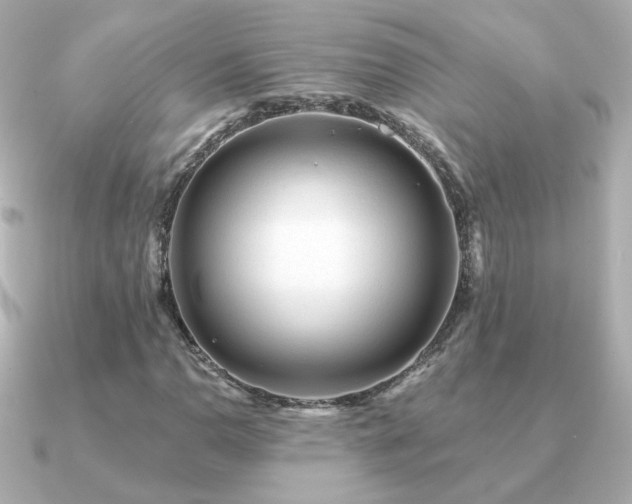 X0000091191110200708091244