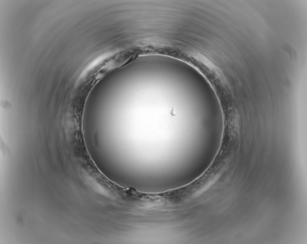 X0000091191112200708091244