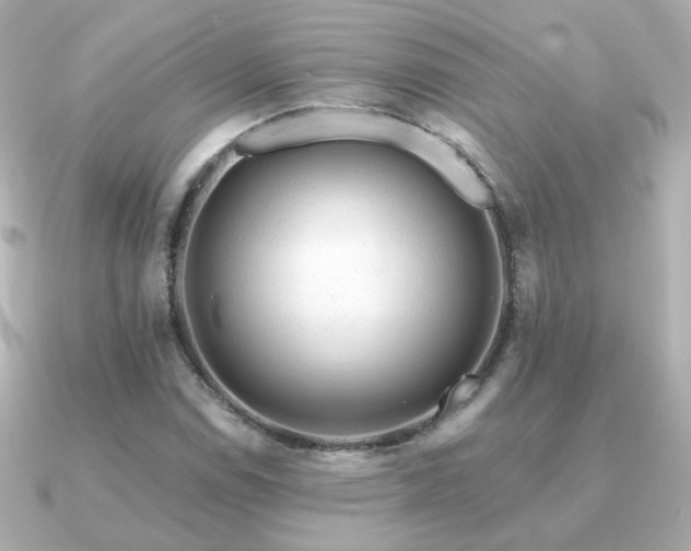 X0000091191114200708091244