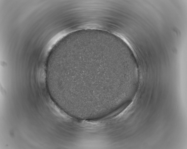X0000091191115200708091244