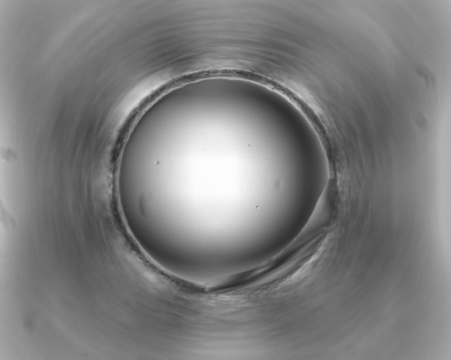 X0000091191119200708091244