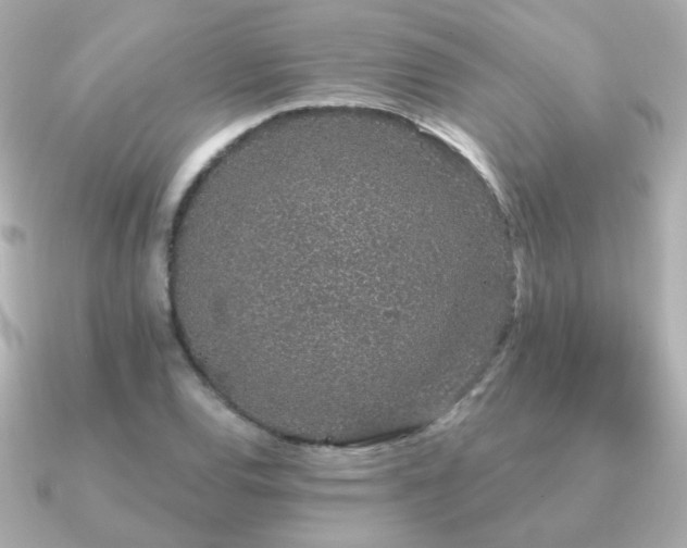 X0000091191120200708091244