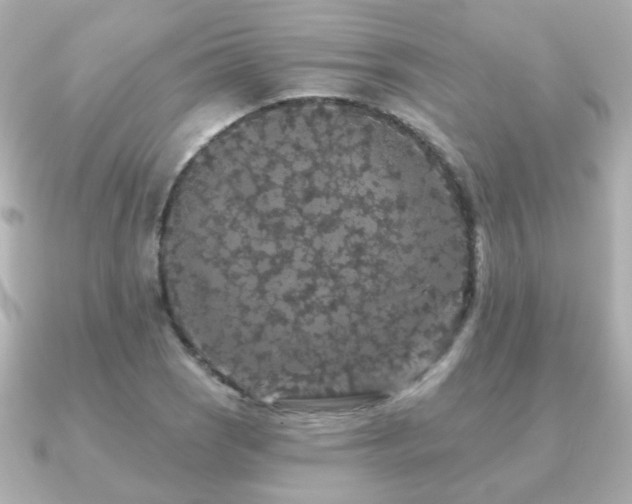 X0000091191121200708091244