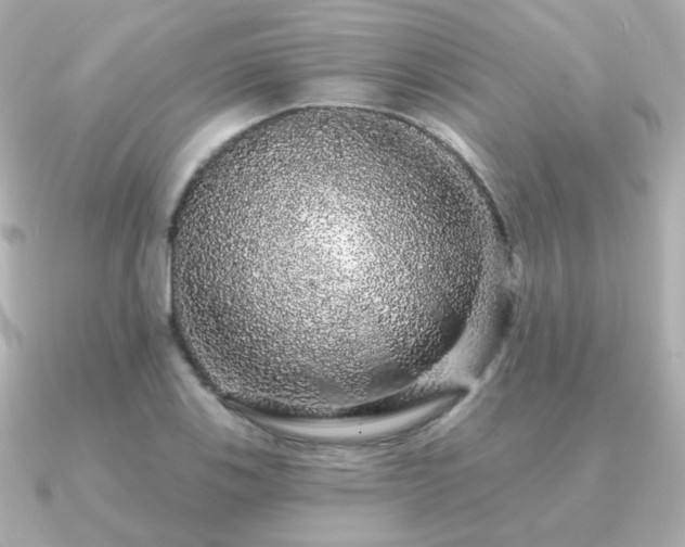 X0000091191123200708091244