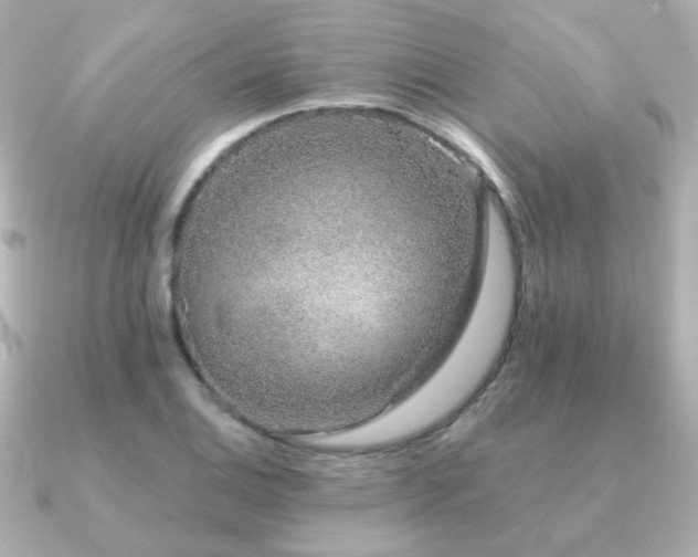 X0000091191124200708091244