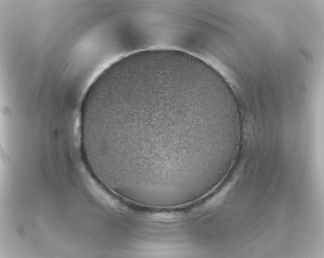 X0000091191126200708091244