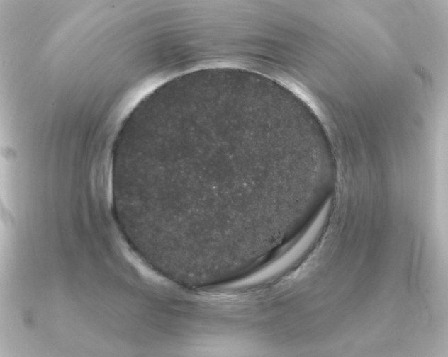 X0000091191127200708091244