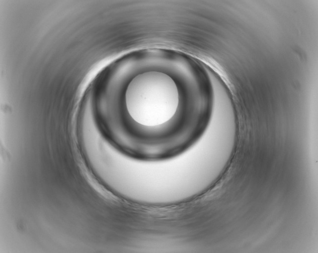 X0000091191128200708091244