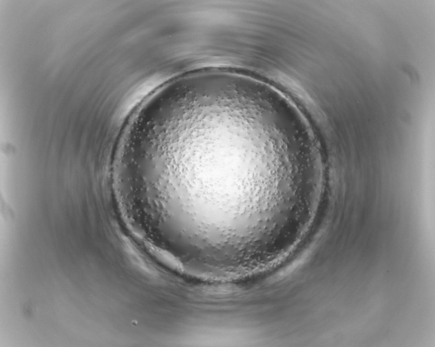 X0000091191129200708091244