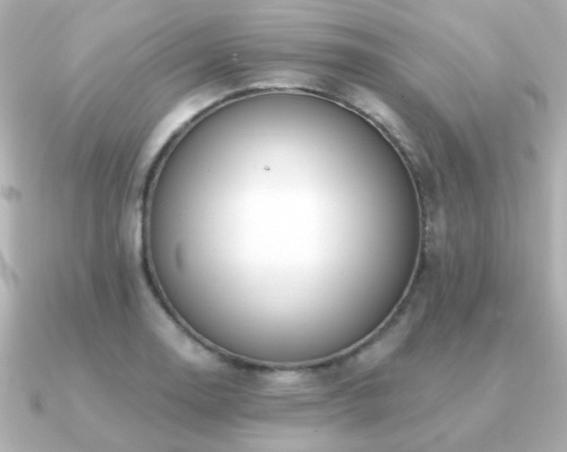 X0000091191130200708091244