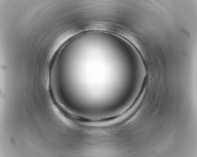X0000091191131200708091244