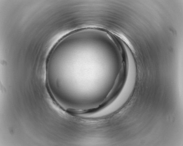 X0000091191132200708091244