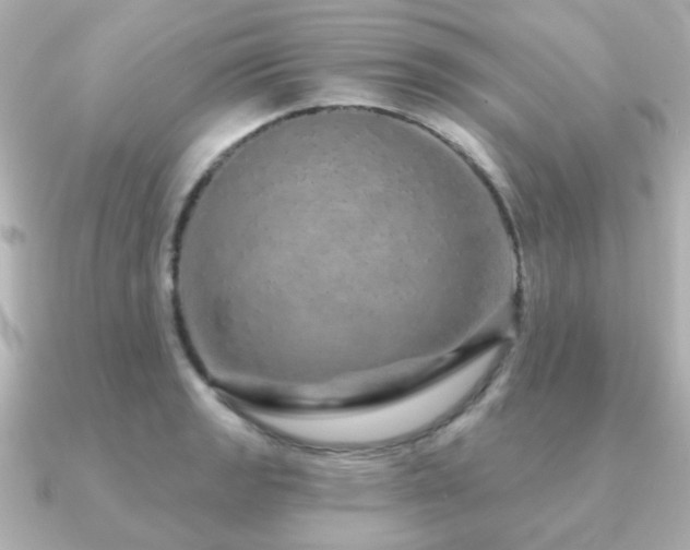 X0000091191133200708091244
