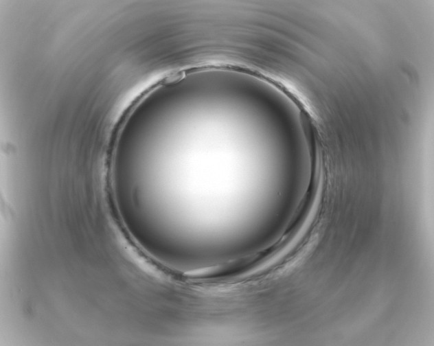 X0000091191134200708091244