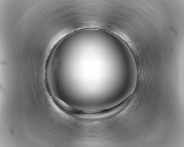 X0000091191135200708091245