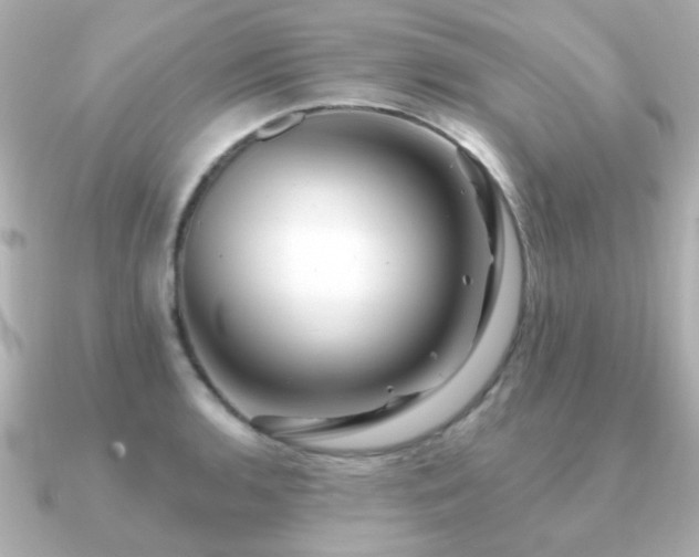 X0000091191136200708091245