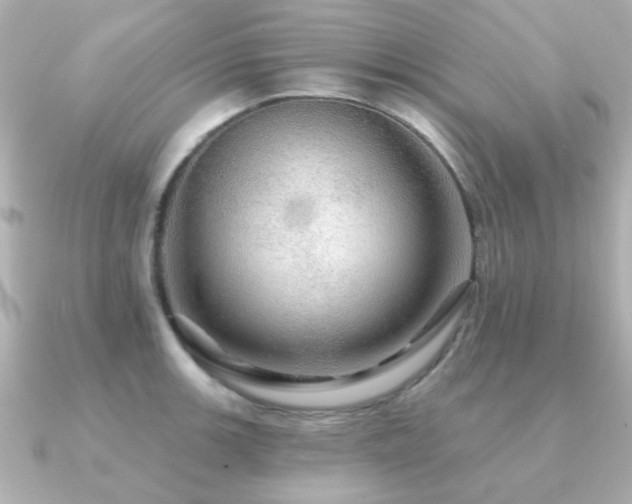 X0000091191139200708091245